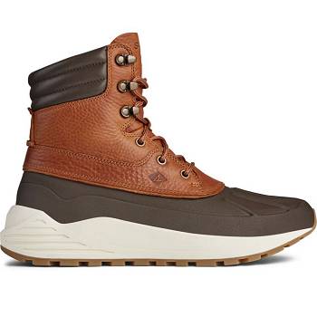 Sperry Freeroam Hiker Hnede - Panske Zimne Topanky